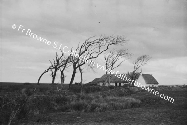 INIS CATHAIGH TREES AND HOMESTEAD